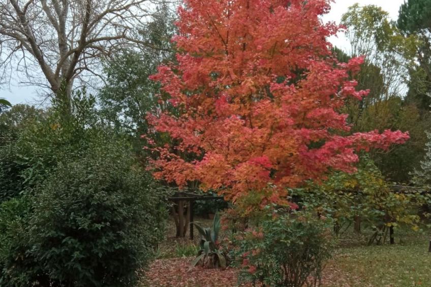 Villa 'Bei Rom' mit privatem Pool - foto 11