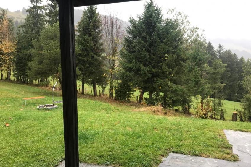 Soldanella - foto 24