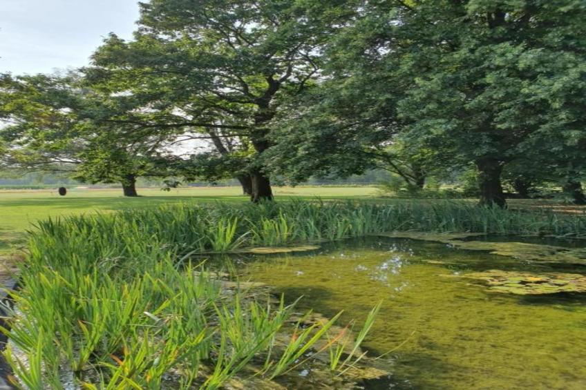 Parc de Kievit 18 - foto 37