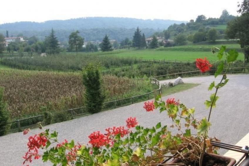 Wohnung mit Grill, Pool und Terrasse - foto 54