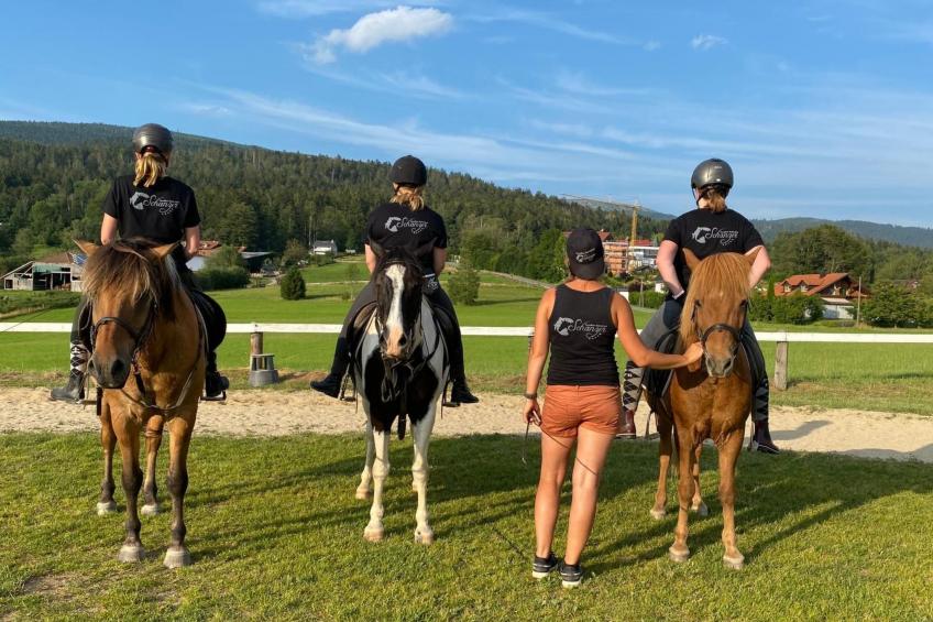 Wohnung Dreisessel im Bayerischen Wald - foto 12