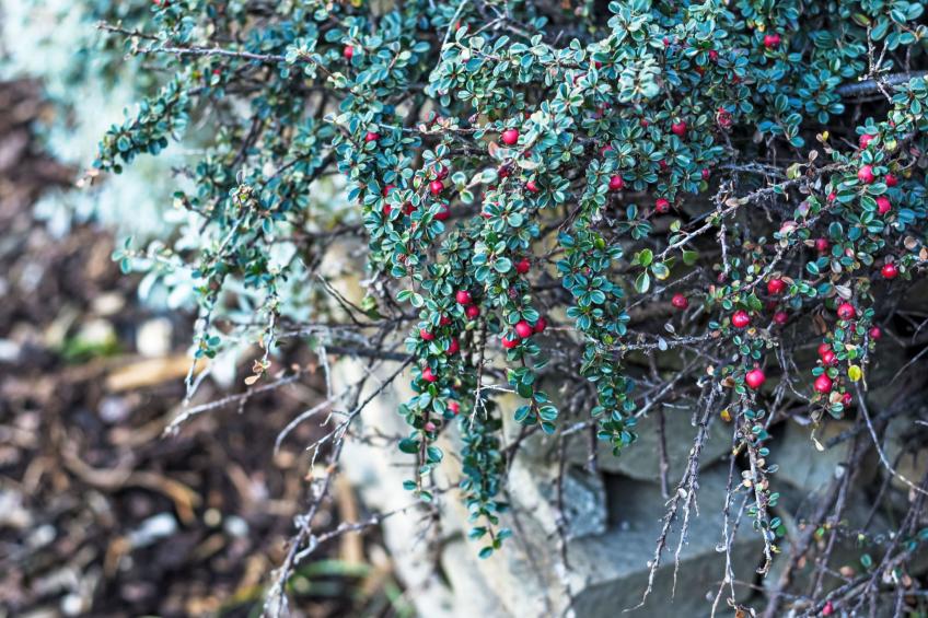 Relax in Farmhouse - foto 21