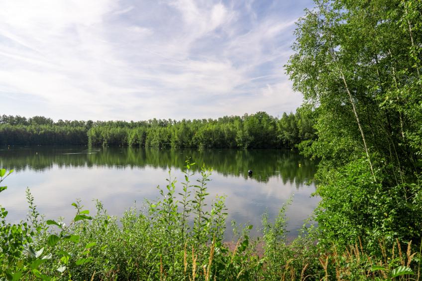 The Large Lake House by YourNature - foto 34