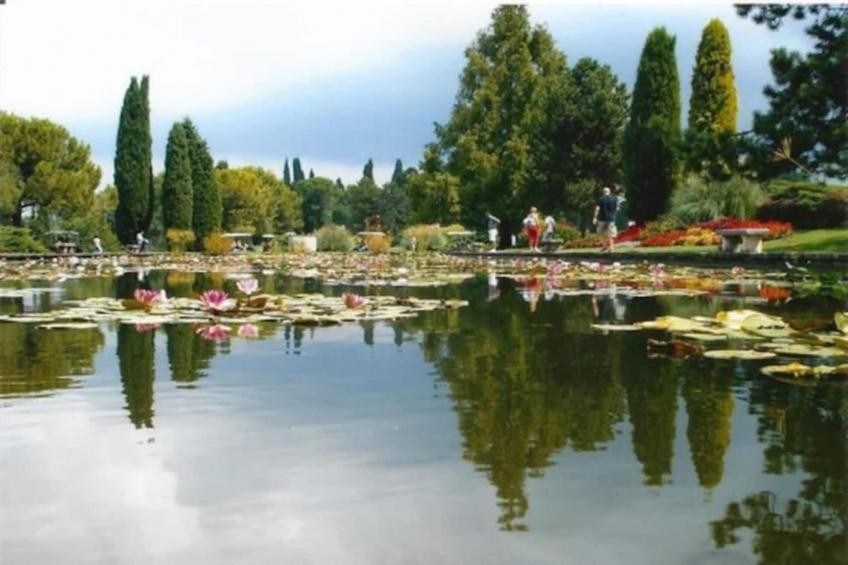 Maison Jaune - foto 33