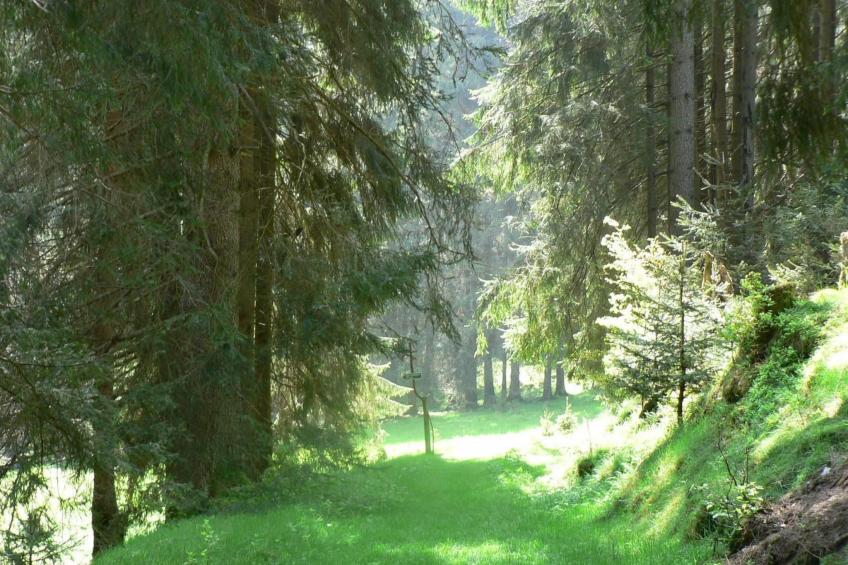 für 9 Personen im Thüringer Wald - foto 23