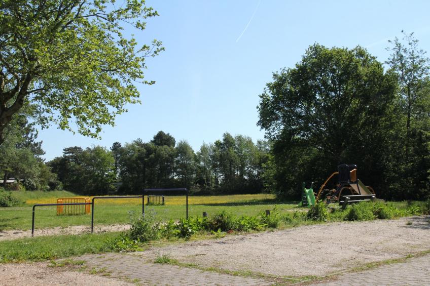 Hommel - foto 16