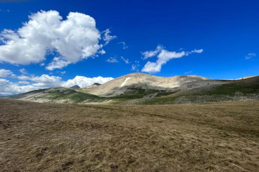 Les Marmottes N°14 - ST4 - foto 22