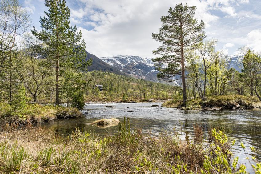 Myravatnet (FJS051) - foto 35