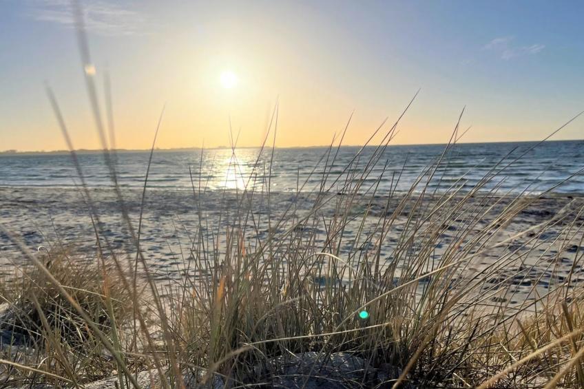 "Gregor" - 300m from the sea in Sealand - foto 4