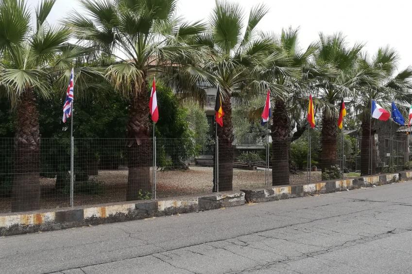 Le Palme in linera - foto 11