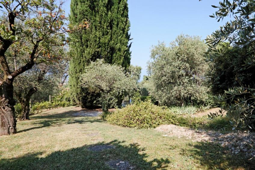 Palomar - foto 40