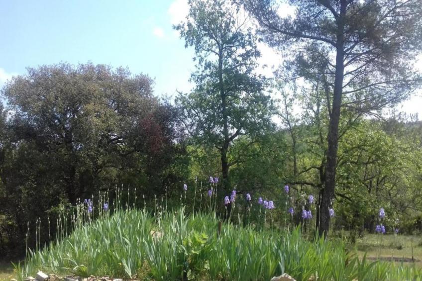 Maison de vacances - SAINT-BRÈS - foto 36