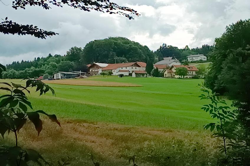 Haus Renate - foto 27