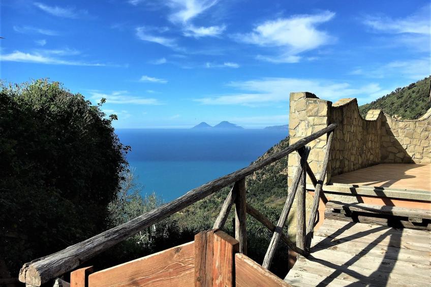 Flache Zeder - foto 3