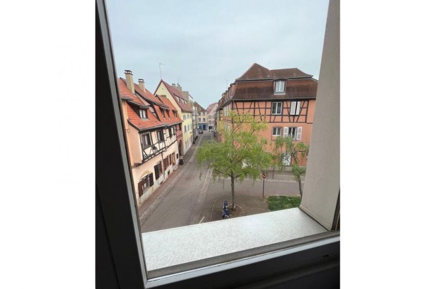 109761 - foto 4