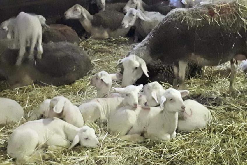 Gîte de France Gîte " la prairie" 4 épis - foto 14