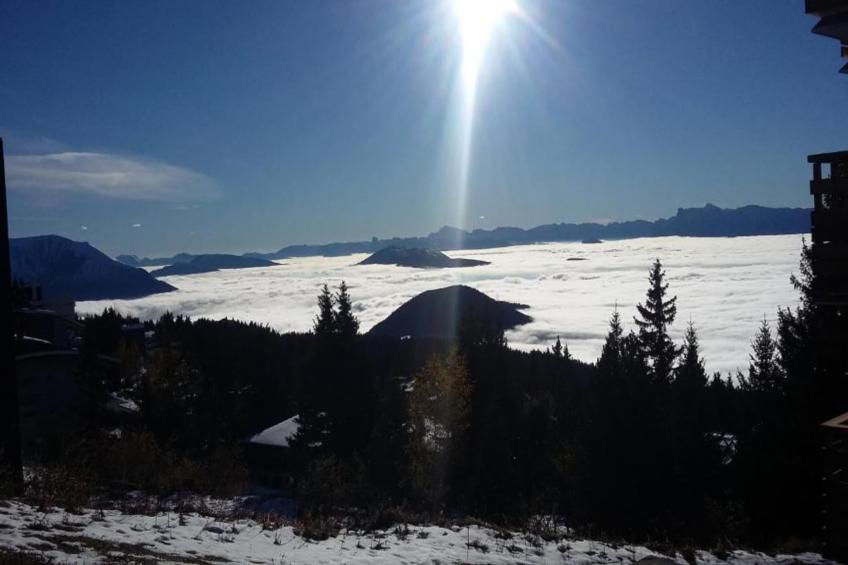 V du Bachat Arolles A n°26 - 2P4 - foto 37