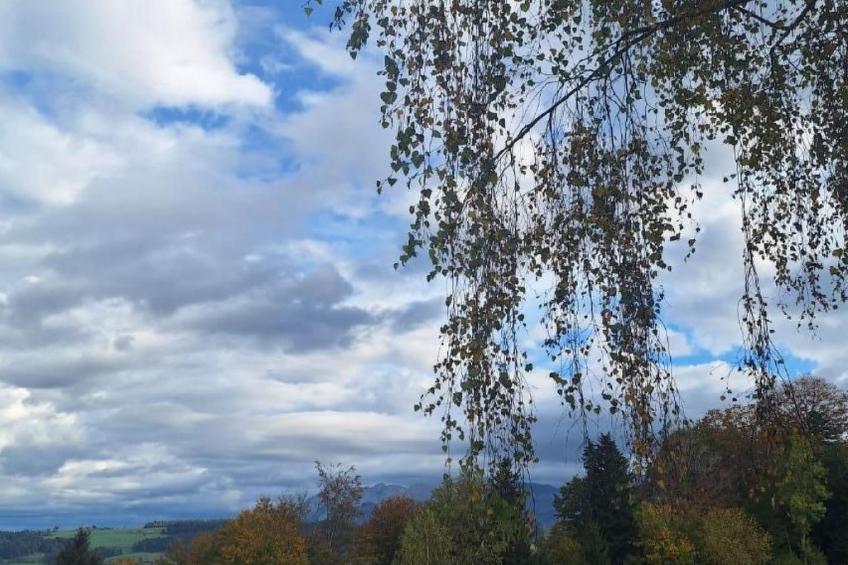 Unter Alpetli - foto 14