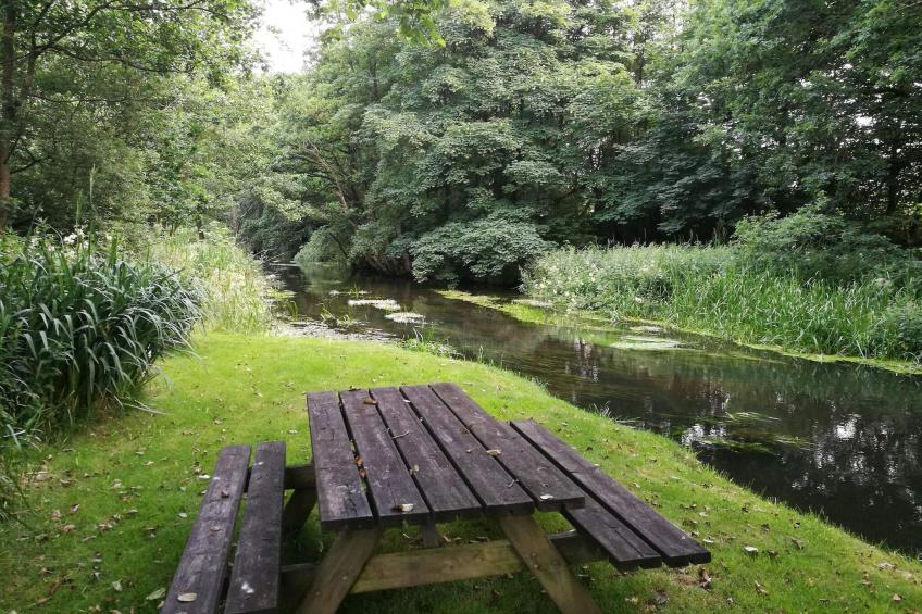 BF-JJJ5D - foto 13