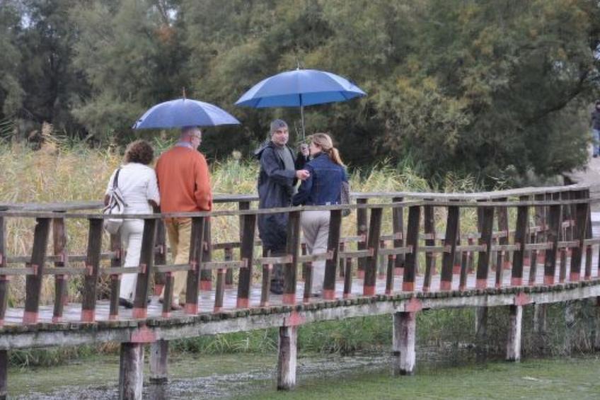 Landhaus bei Almagro - foto 21