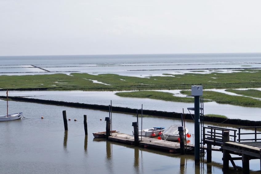 Appartement in Meldorf mit Garten - foto 21