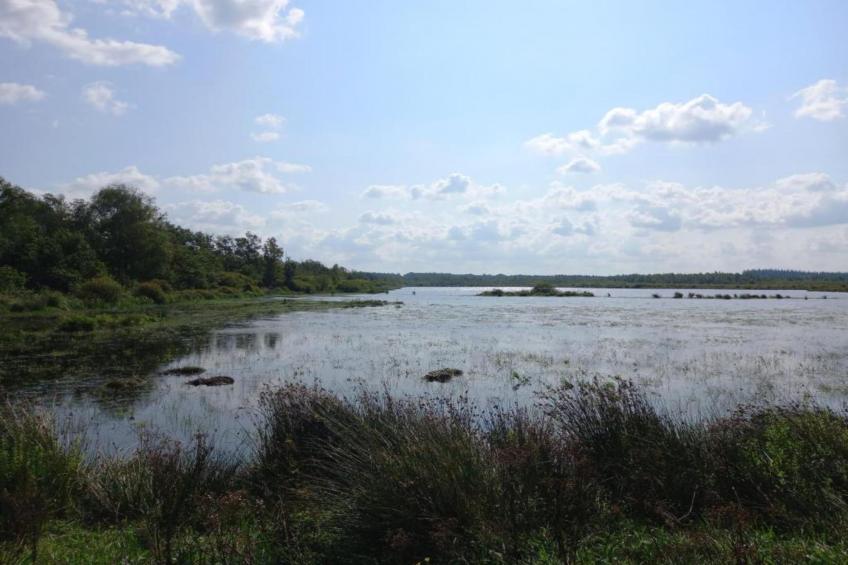 Maison de vacances - CLOHARS-CARNOET - foto 22