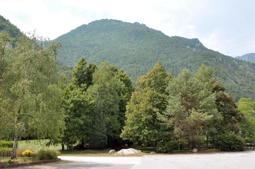 CASA TRAME DEGLI ANGELI 5 pax - foto 34