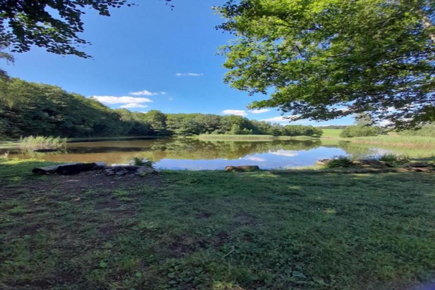 Maison de vacances - ESMOULIÈRES - foto 27