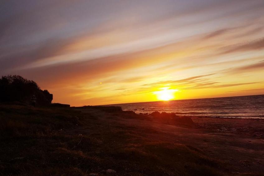 Ostseeblick - foto 29