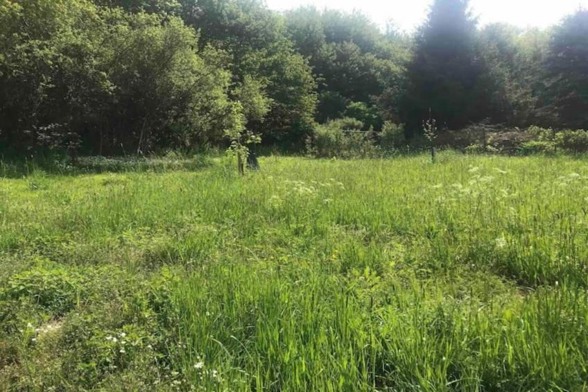 Eschbachtal - foto 38