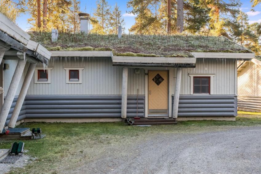 Kulta-käkönen 17 by bomba