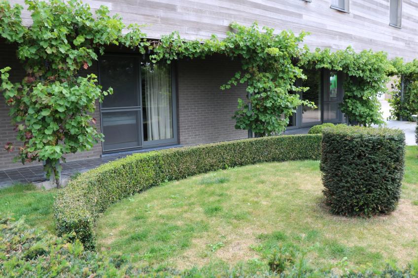 Bloesemhof - foto 19