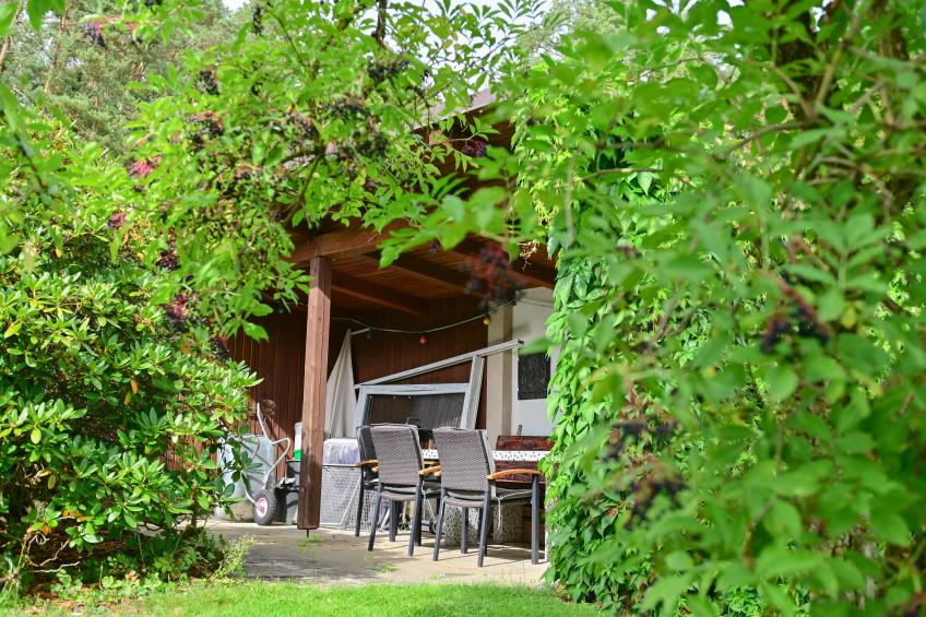 Bärenhöhle - foto 3