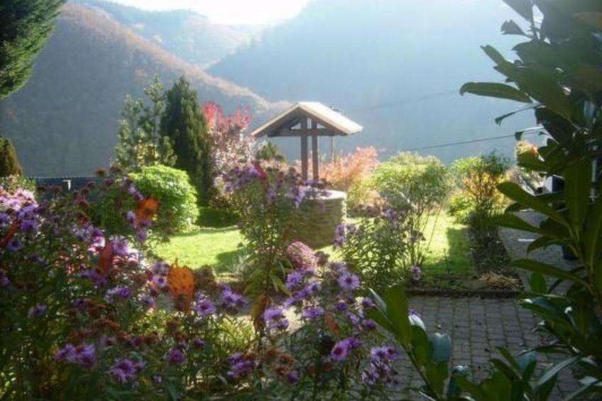 in Waldbreitbach mit Whirlpool - foto 21