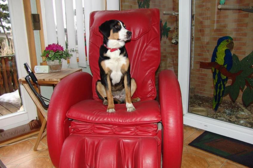 Spree Idyll - foto 15