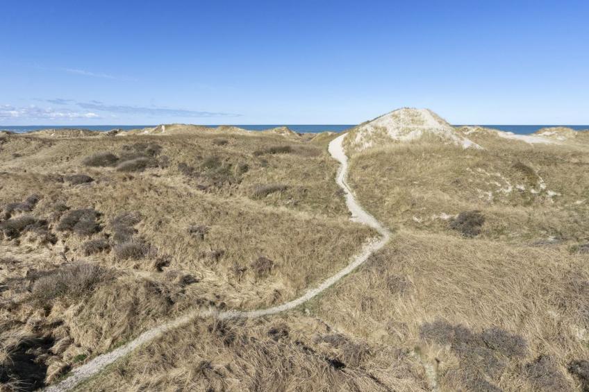 "Solunka" - 100m from the sea in NW Jutland - foto 15