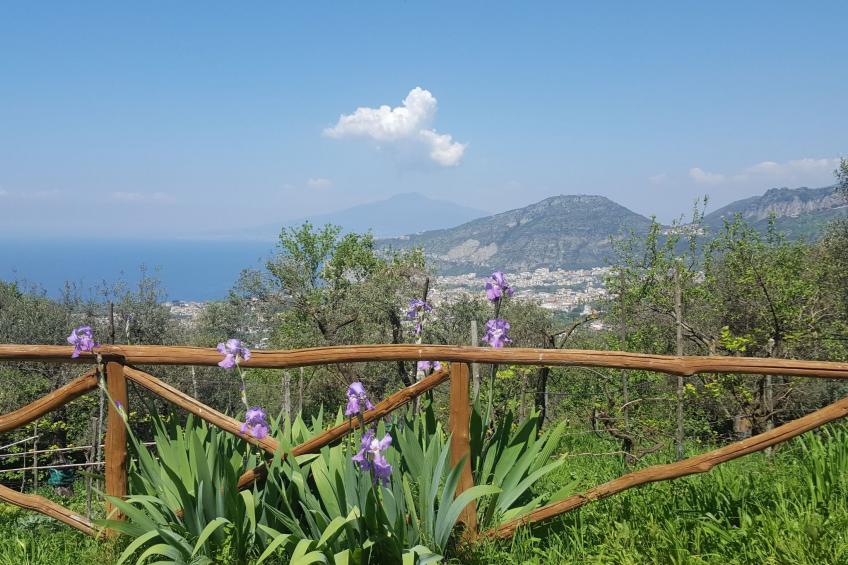 Kleine Wohnung auf einem Bauernhof - foto 13