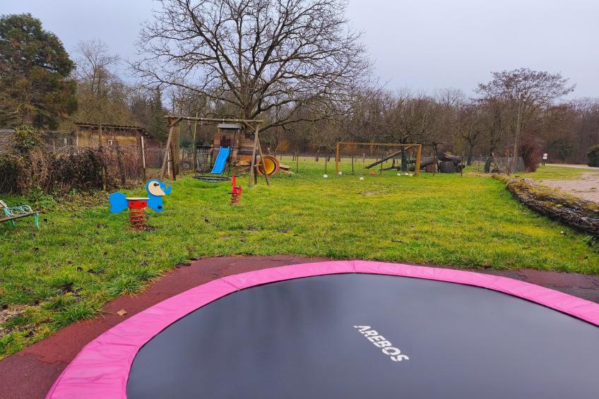 Im Rheintal - foto 29