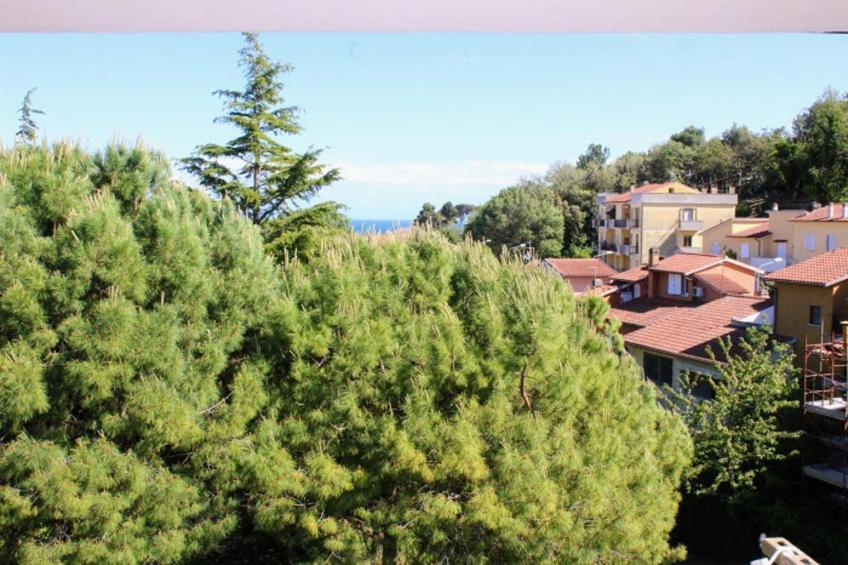 TRILO NOVELLA 2 - foto 6