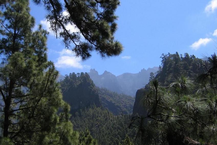 Villa Atlantico - foto 40