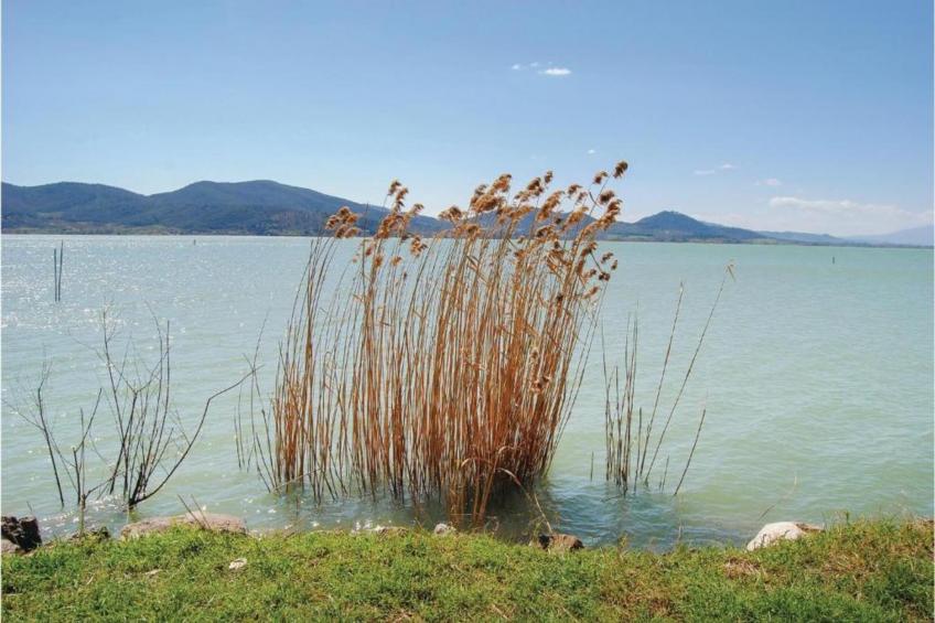 Villa Monte Acuto - foto 21