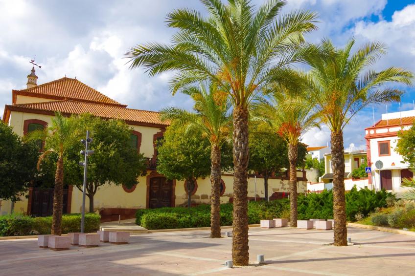 Casa Margarida Azul - foto 30