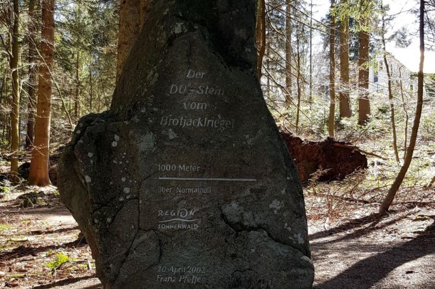 Charmante Wohnung in Langfurth mit Kleinem Balkon - foto 24