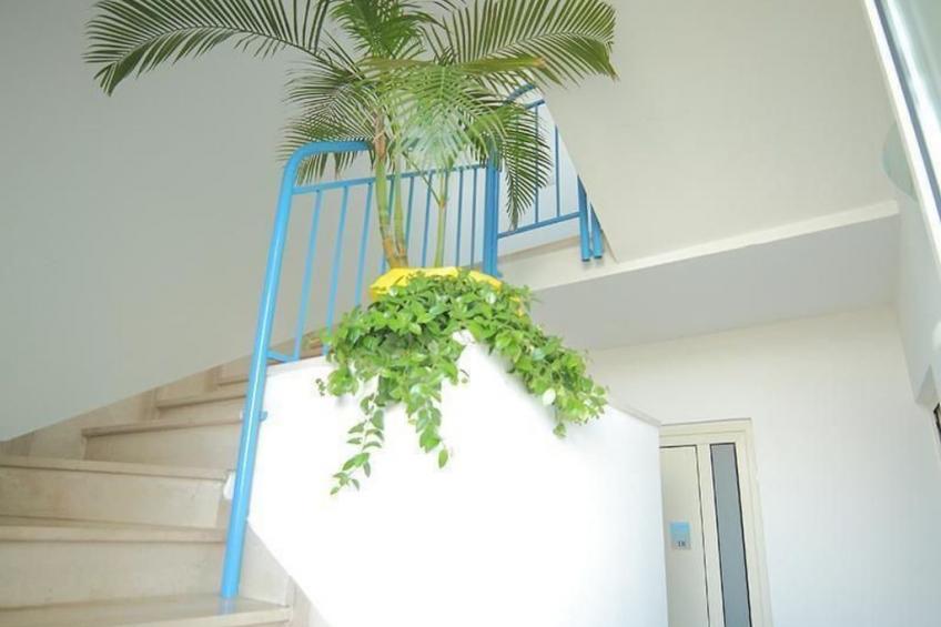 in Torre Mozza mit Terrasse - foto 6