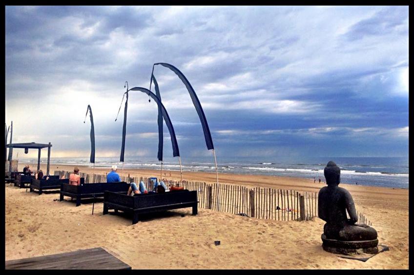 Beach Houses Zandvoort 3 - foto 31