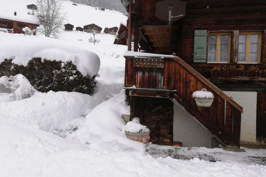 mit Bergblick - foto 33