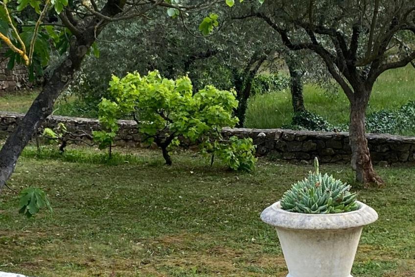 Klimatisiertes Mas Les Heures Bleues mit Pool - foto 30