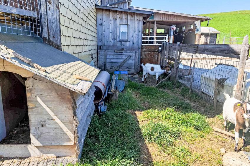 "Hüttli" neben dem Bauernhof Fendrig - foto 14