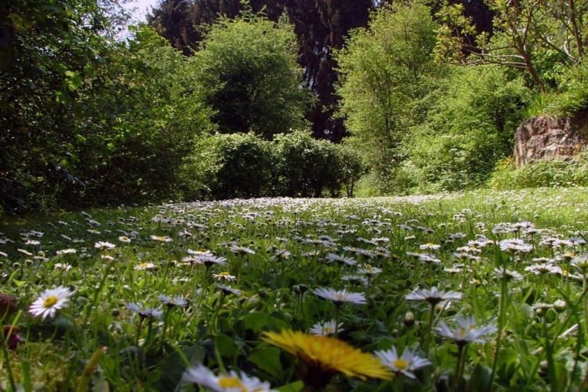 La Vue Spectaculaire - foto 38