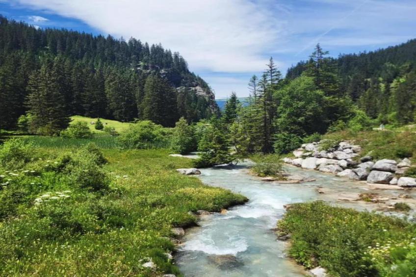 Residence Cybèle - foto 31